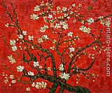 Branches of an almond tree in Blossom in Red